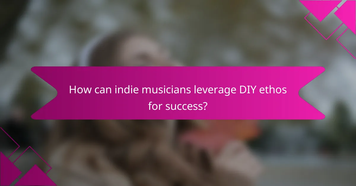 How can indie musicians leverage DIY ethos for success?