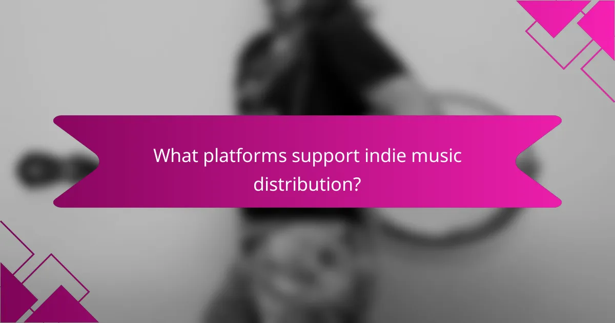What platforms support indie music distribution?