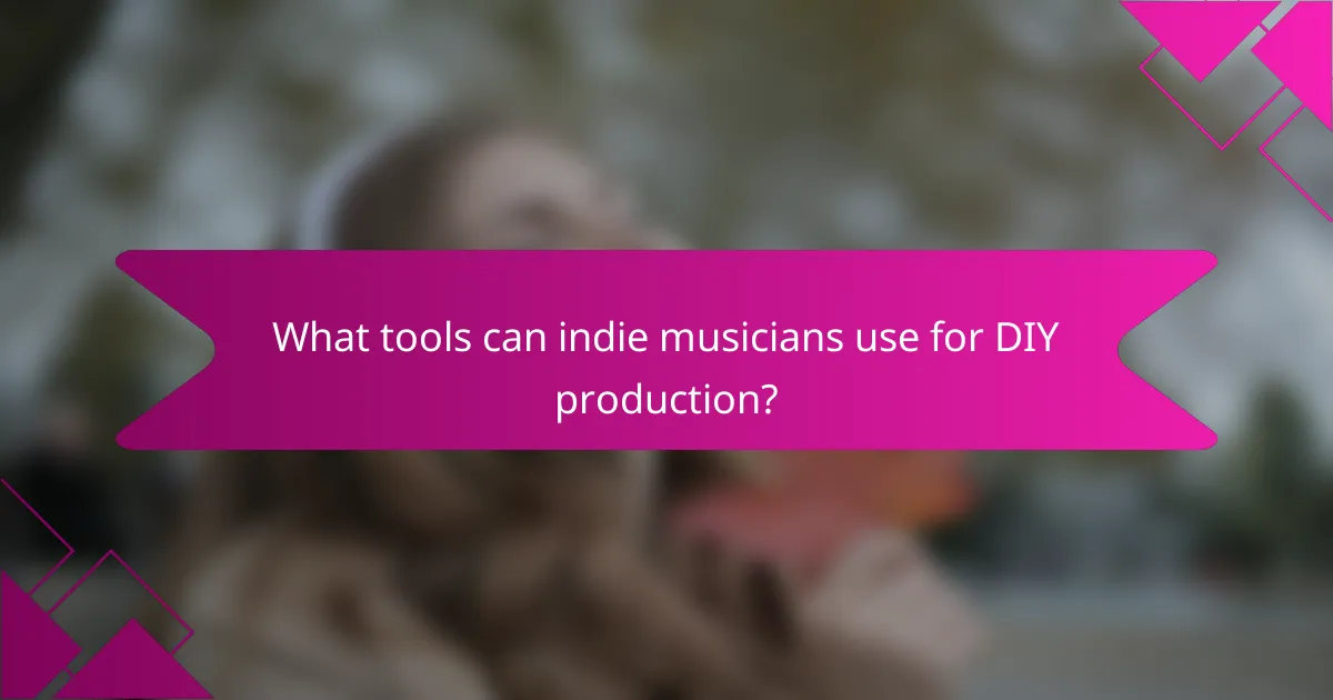 What tools can indie musicians use for DIY production?
