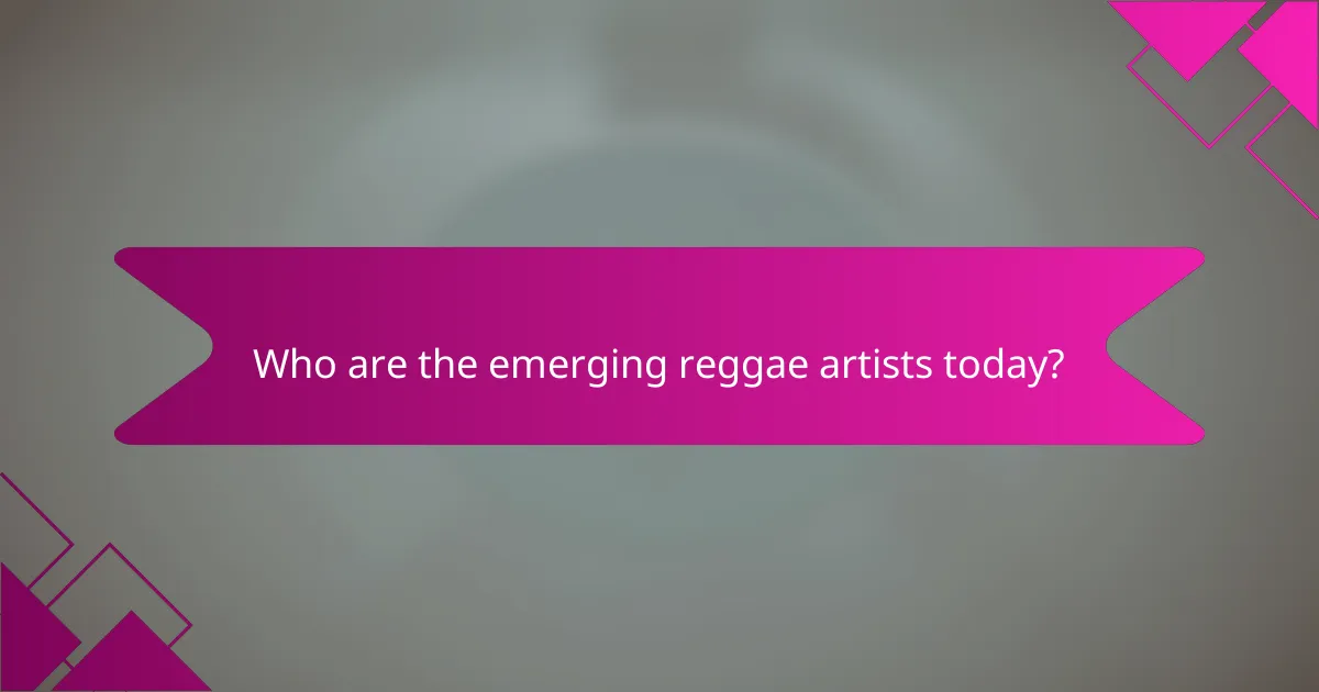 Who are the emerging reggae artists today?